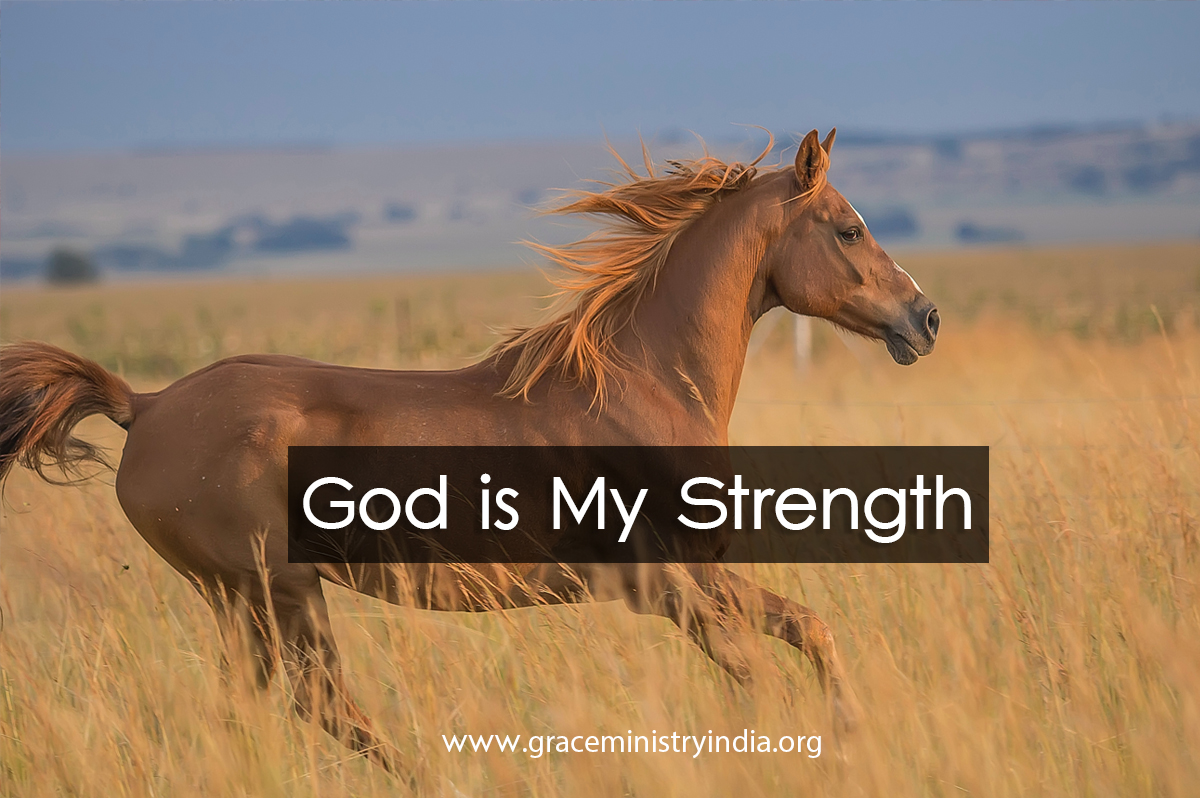 Bro Andrew Richard Daily Devotion - God is My Strength . Grace Ministry  Mangalore