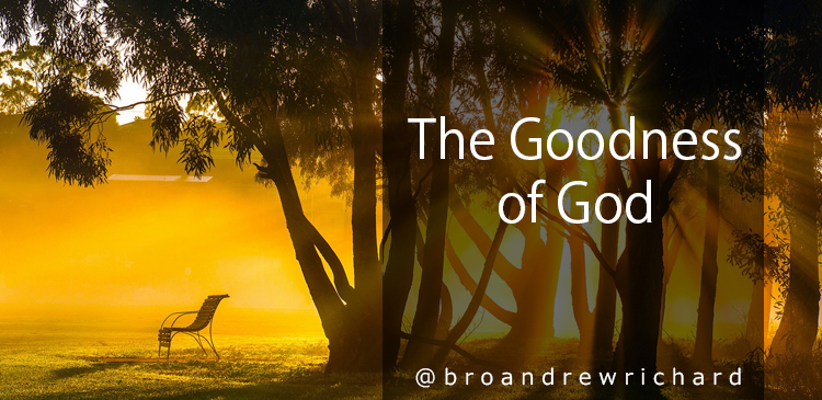 God told Moses that He can only make the goodness of Him pass before Moses. Moses was put in the cleft of a rock and God passed in front of him. The goodness that passed before Moses was the mercy. 