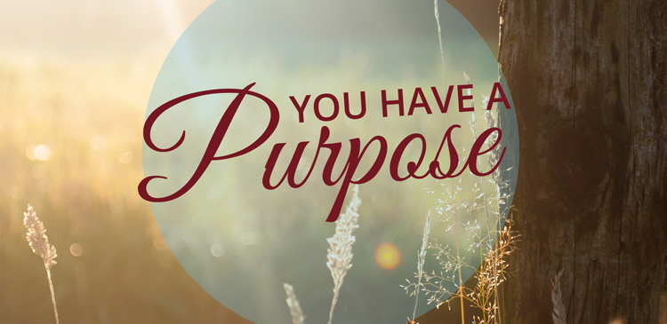 Everything in this world has a purpose. From car manufacturers to potters, every creator has a purpose in mind for his creation. And our Heavenly God is no different.