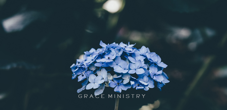 Bro Andrew Richard Article: Pentatonix Sings 'Amazing Grace (My Chains Are Gone)' A Cappella Pentatonix Sings 'Amazing Grace (My Chains Are Gone)' A Cappella
